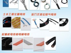 盛邦電線電纜入刊上海世環(huán)會(huì)特刊《儀表與測(cè)量控制》系列客戶(hù)報(bào)道44