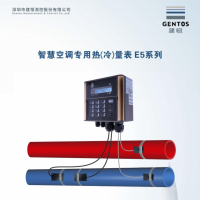 建恒樓宇計費專用冷量表E5