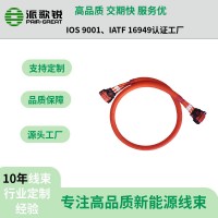 汽車電池連接線束  電機(jī)電控高壓線束 支持定制