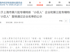 喜訊！上?？咸赝ㄟ^國家專精特新“小巨人”復核