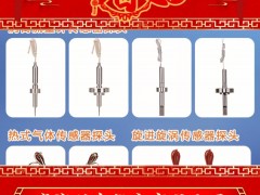 威海興東儀表有限公司 總經(jīng)理 張雪萌 2025年新春寄語