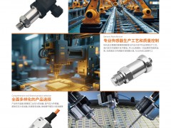 深圳市思頓傳感技術(shù)有限公司入刊《儀表與測量控制》系列客戶報(bào)道22