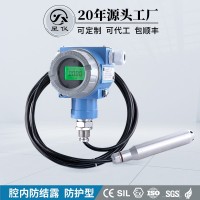 星儀CYW12C防護型液位變送器防潮防爆投入式水位傳感器