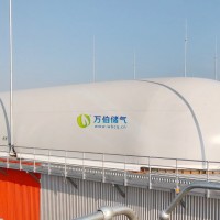 萬伯雙膜儲(chǔ)氣柜WD65