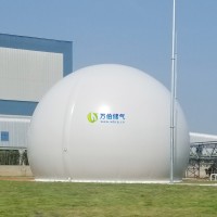 大白球雙膜儲(chǔ)氣柜WD68S