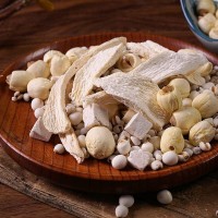 2026中國(guó)廣州中藥保健及名貴滋補(bǔ)品展覽會(huì)