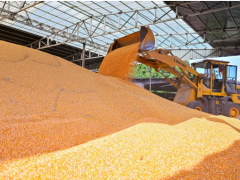 上榜“2025四川省綜合競(jìng)爭(zhēng)力百?gòu)?qiáng)鎮(zhèn)” 仁壽縣這兩個(gè)鄉(xiāng)鎮(zhèn)憑什么？