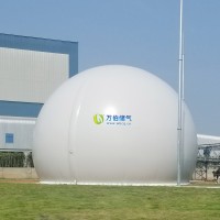 大白球雙膜氣柜WD68S