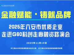 2025年六安市優(yōu)質(zhì)企業(yè)走進(jìn)G60科創(chuàng)走廊融資路演活動成功舉辦