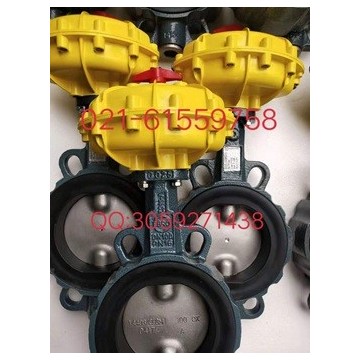 原裝正品 德國(guó)依博羅EBRO氣動(dòng)扇形蝶