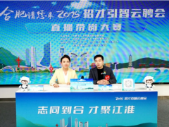 實力出圈！肥西戰(zhàn)隊摘得全市直播帶崗大賽桂冠