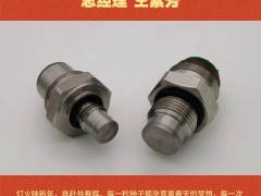 深圳市立鑫瑞測(cè)控科技有限公司 總經(jīng)理 仝素芳2026年新春寄語(yǔ)