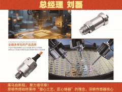 深圳市思頓傳感技術(shù)有限公司  總經(jīng)理 劉磊2026年新春寄語(yǔ)