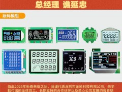 深圳市金彩科技有限公司 總經(jīng)理 譙延忠2026年新春寄語(yǔ)